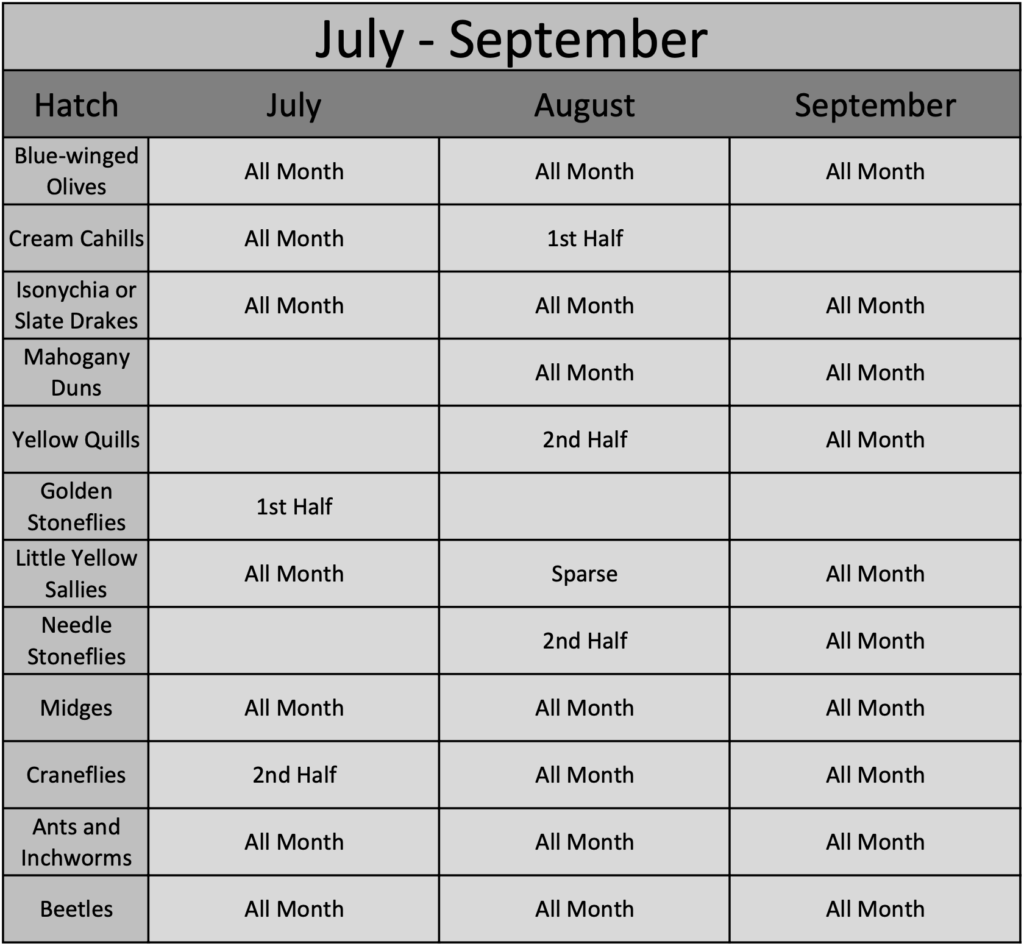 July Through September Great Smoky Mountains Hatch Chart